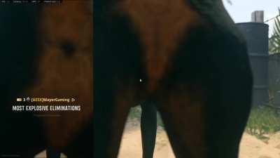 MVP cam is literally butthole