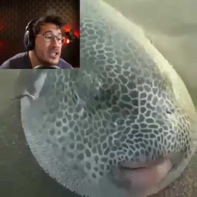 losercity tragedy :(