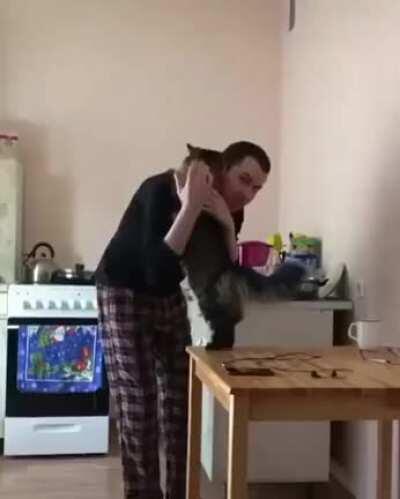 Cats Love to hug