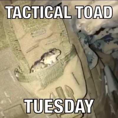 Fuck you and your religion it’s tactical toad Tuesday