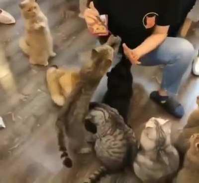 “Give me Please! i'am over here”