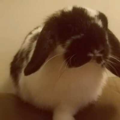 New favorite sound 🤗💕