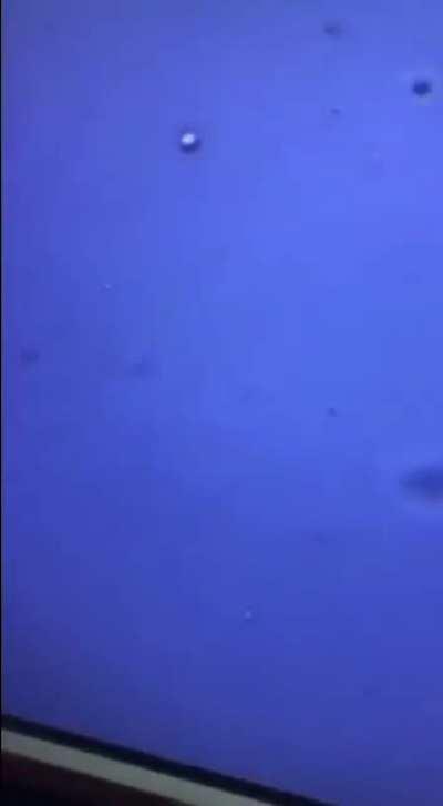 Попробуем под микроскопом найти чипы в вакцине от ковида? Ну чтоб всех окончательно разубедить...