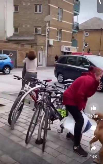 Woman walking Pitbull assists woman during mugging; dog ends up attacking victim, then owner, then mugger runs away.