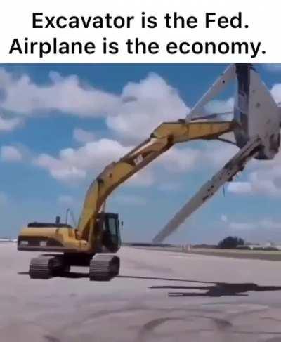 Bears waiting for the plane to crash