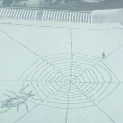 Spotted a Web Developer