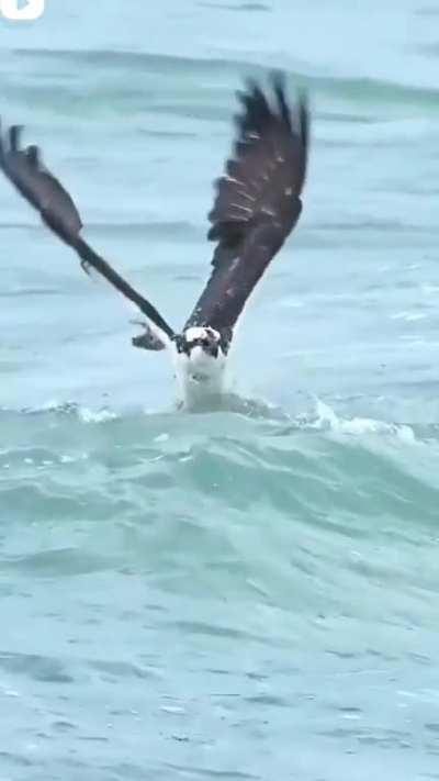 That takes a lot of strength i suppose!