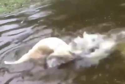 Fishing with the dog