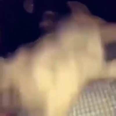 monke mdlr 😎😎🥶