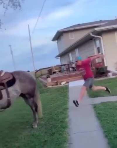 WCGW... Jumping on a horse? Wtf was this guy thinking