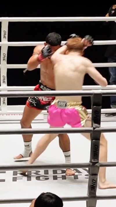 Muay Thai Fight Knockout 