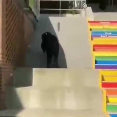 I’m 15 and this is yeet