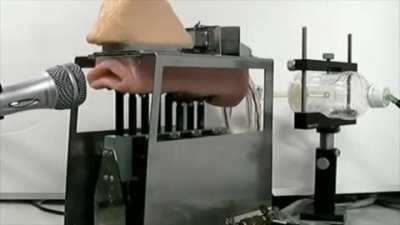 Thanks, I hate singing robotic mouth