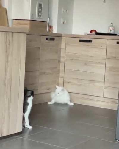 “You have no idea what I’ve just been through!”