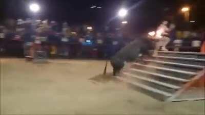 If you're gonna be dumb, you gotta be tough