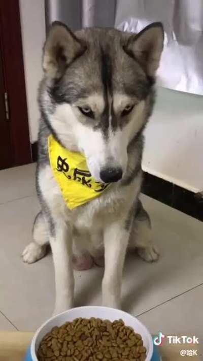 каждый раз забавляет