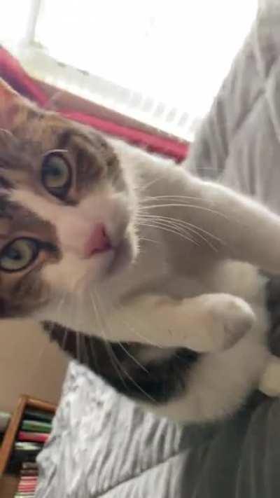 Jack would like my attention