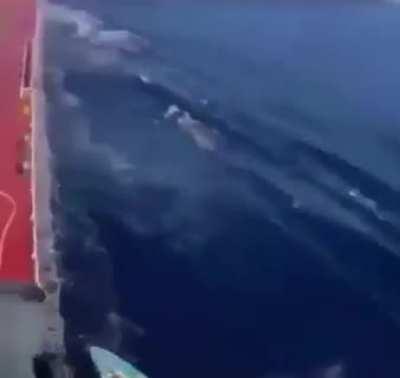 Pirates trying to do pirate stuff...