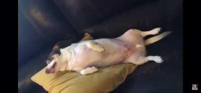 YOU HAVE AWOKEN MR. BUBZ