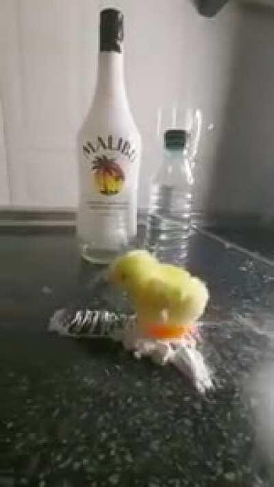 Нужная вещь в хозяйстве.