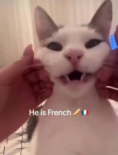 He is really a little bit French 