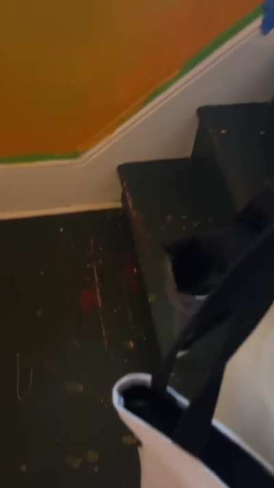 My first cat taught me to not leave dirty clothes on the floor, Harpo taught me to make an exception.