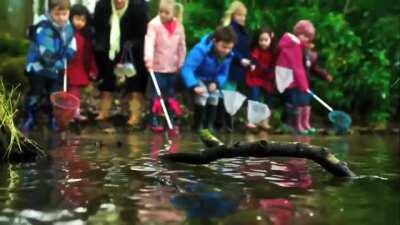 Irish driving safety ad with tri poloski
