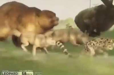 ….”hide before the hyenas come~”