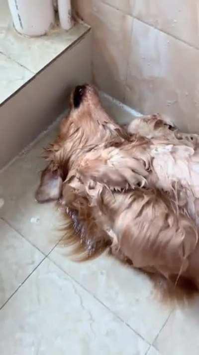 It's not funny anymore, boy