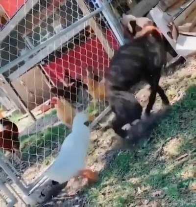 Just like my girlfriend