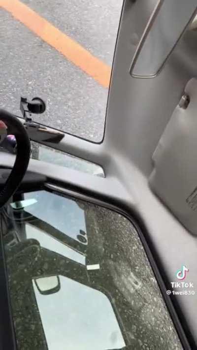 Passenger pulls driver's handbrake while driving