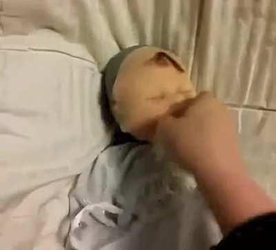 Личика директора РЕН-ТВ