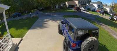 OC-NSFW- Neighbors dog gets hit by car, then person driving gets bit by other dog.