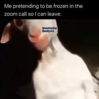 Source: r/dankvideos OR r/memevideos