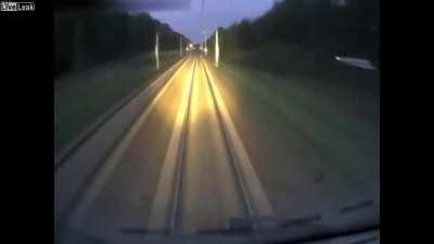 Deer gets hit by a train (not a wholesome 100 chungus moment)