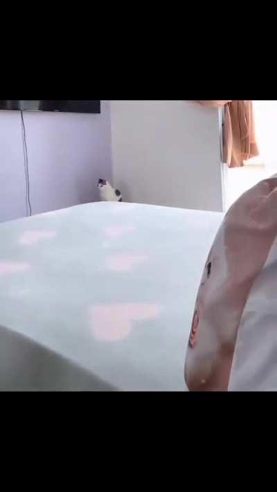 Best in the business.  