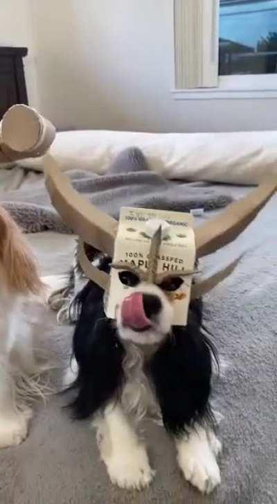 VIKINGS VALHALLA Trailer Teaser (2022)