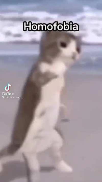 Sabado de homofobia🥵