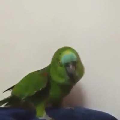 If I were a boy, I'd sing Beyonce...