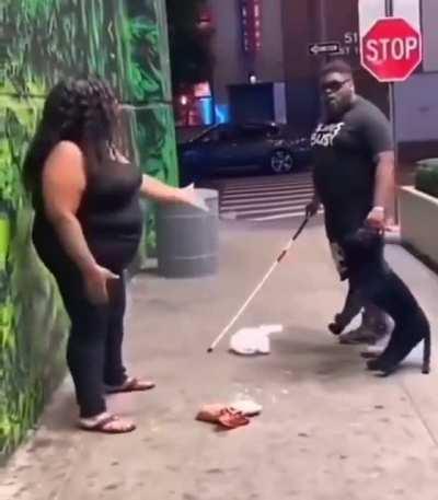 wordington service dog