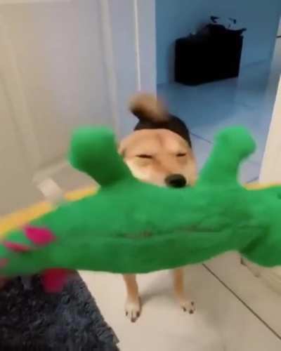 Wiggle Wiggle Wiggle