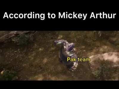 It’s their superpower 