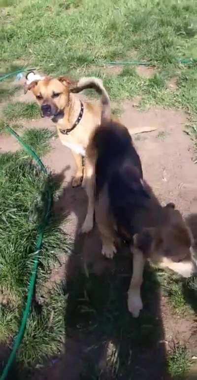 Right for the source