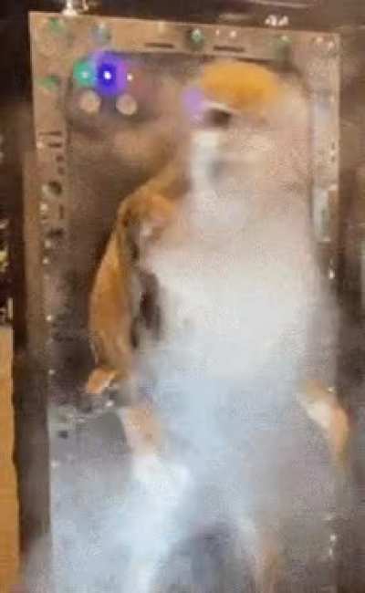 me after reading yalls flairs: (besides u/Frosty_Cause_6197 )