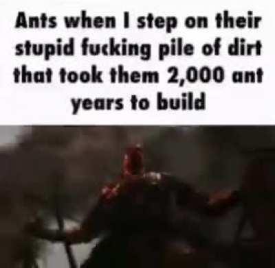 Jajajaaj hormiga gran jefe