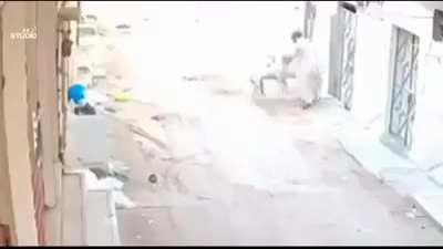 Attacking a street dog