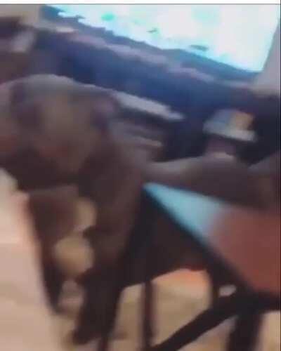 This is what love should be like