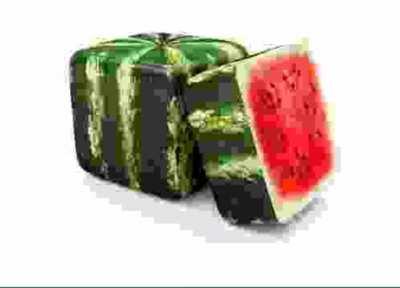 cube watermelon