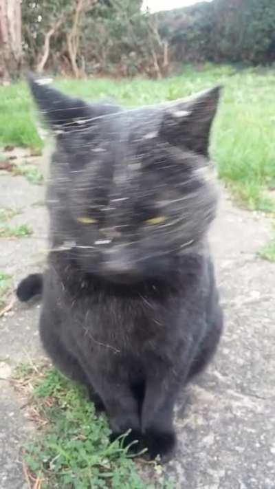 Excuse me sir, there's something on your face.