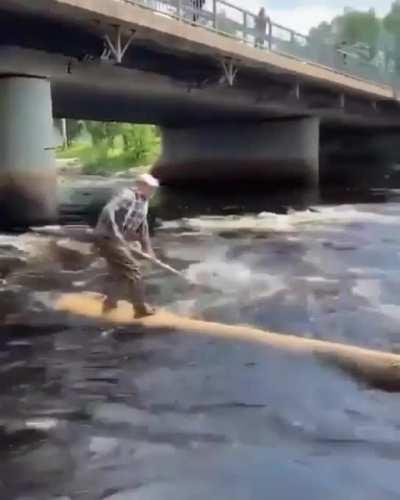 Loggers often ride a flotilla logs down the river